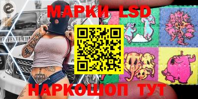 шишки Будённовск