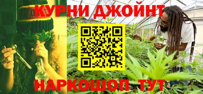 шишки Будённовск