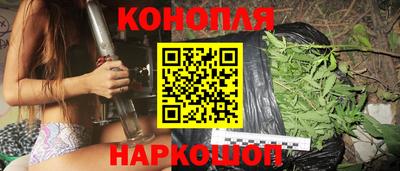 шишки Будённовск