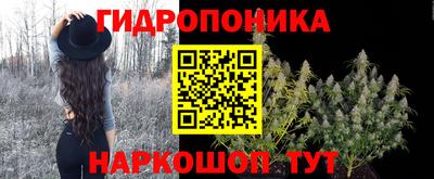шишки Будённовск