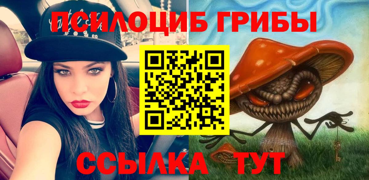 Ишимбай  Галлюциногенные грибы Cubensis  Вход с VPN 